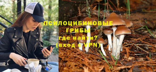 бошки Абдулино