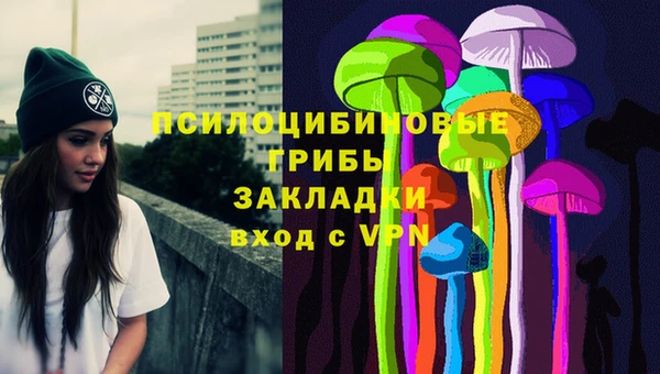гашик Абаза