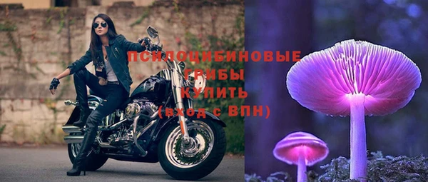 гашик Абаза