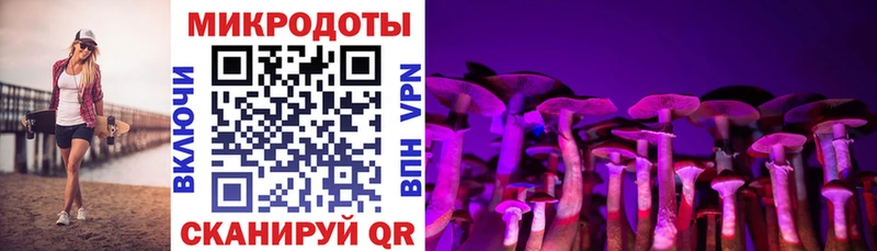 цены   Чекалин  Галлюциногенные грибы Cubensis 